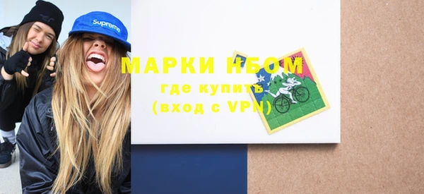 твердый Инта