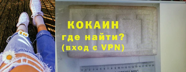 дмт Пересвет