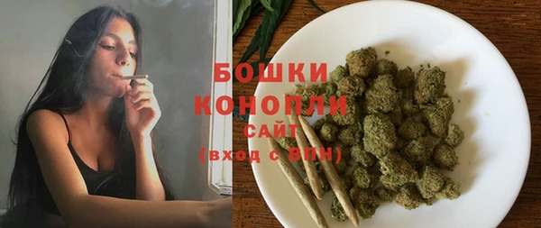 дмт Пересвет