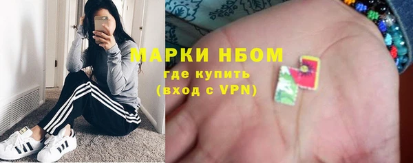 дмт Пересвет