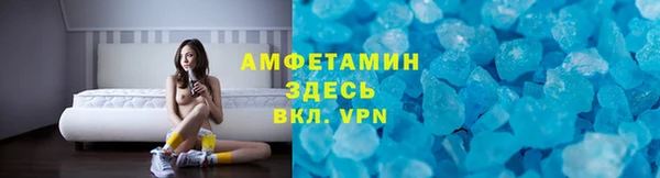 дмт Пересвет