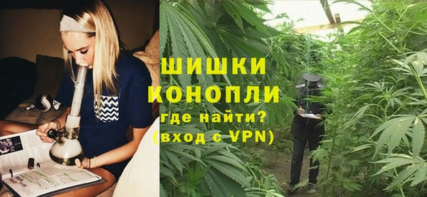 дмт Пересвет