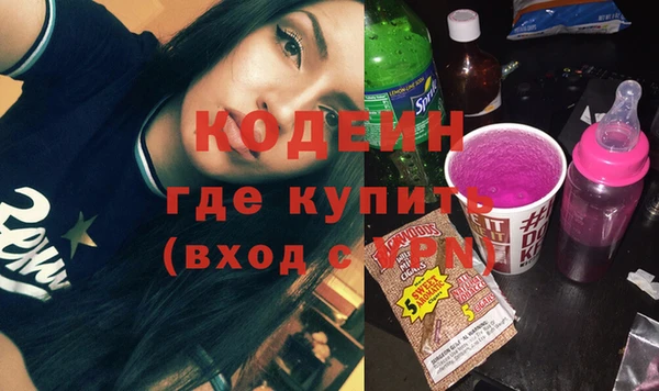 дмт Пересвет
