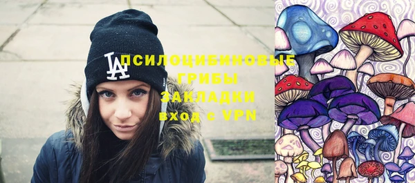 бошки Пестово