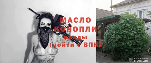 дмт Пересвет