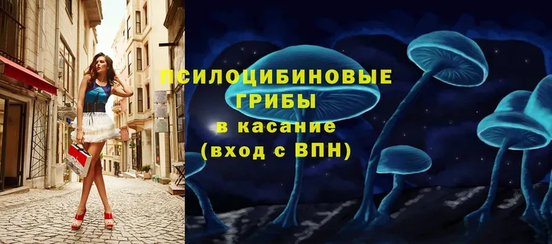 наркошоп  hydra ссылка  Галлюциногенные грибы Magic Shrooms  Любим 